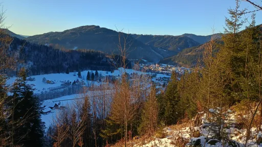View on Lunz from Seeauberg