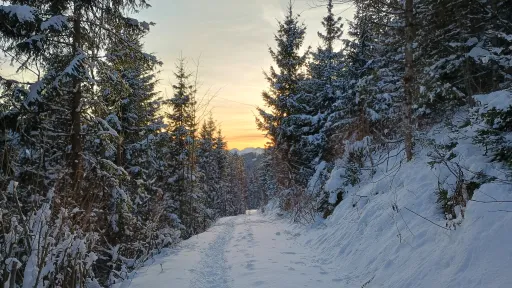 Read and orange sunset over a path in the snow