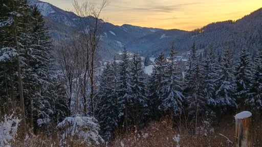 Sunset over winter woods and mountains, viewed from Lunzberg
