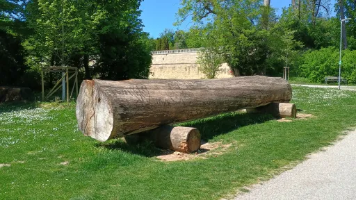 Giant tree trunk, Esterh&aacute;zy palace park