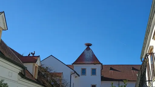 Stork's nest, Rust am Neusiedler See