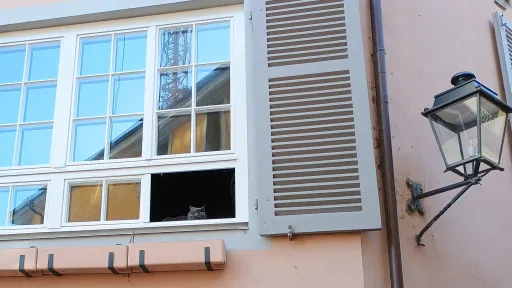 Cat watching from the window, Rheinfelden