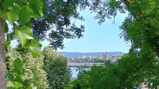 In view of Basel cathedral