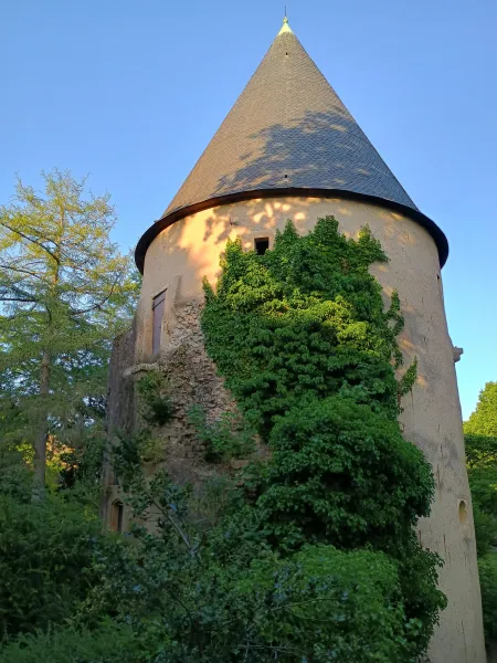 Tour Camoufle, Metz