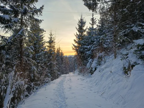 Read and orange sunset over a path in the snow