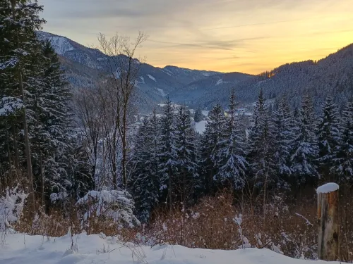 Sunset over winter woods and mountains, viewed from Lunzberg