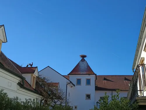 Storchennest, Rust am Neusiedler See