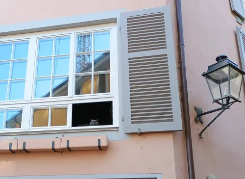 Cat watching from the window, Rheinfelden