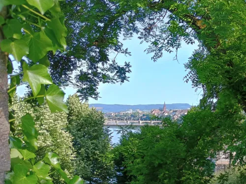 In view of Basel cathedral