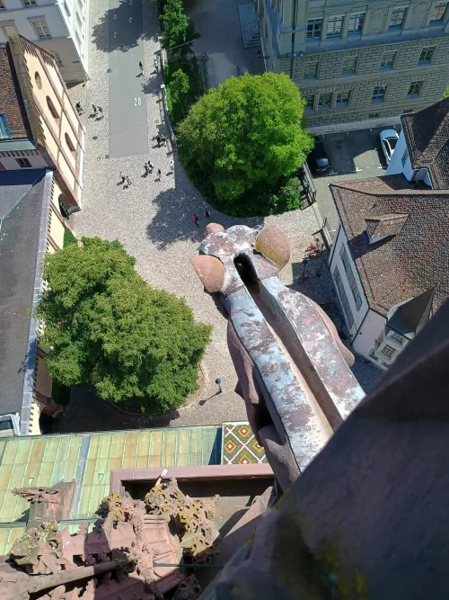 Blick hinunter vom Turm des Basler M&uuml;nster