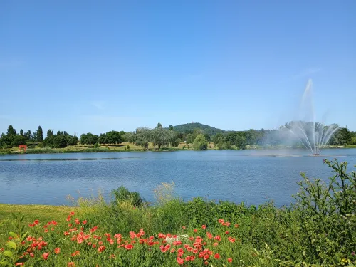 Plan d'Eau de Metz